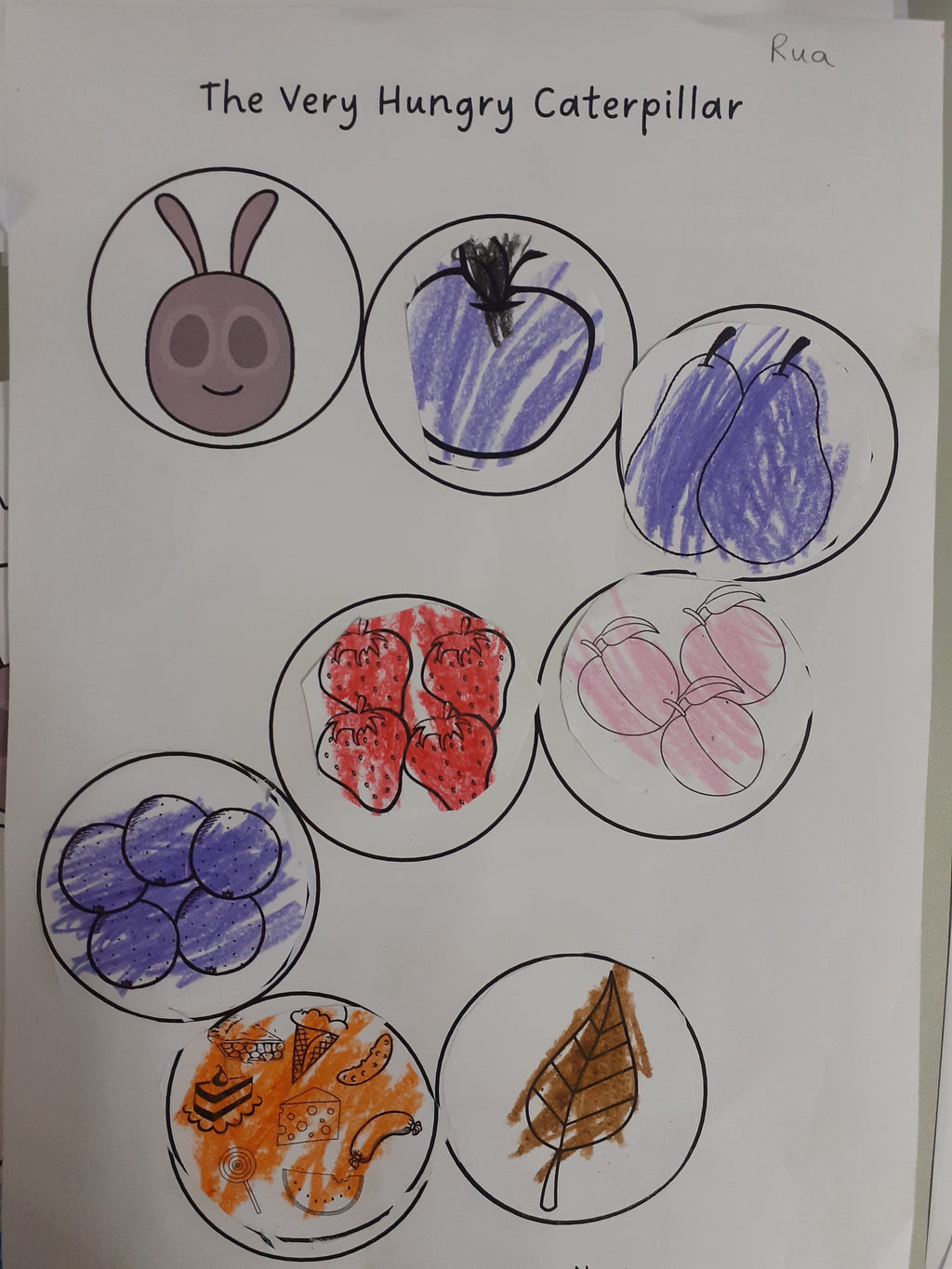 Lifecycle of a Butterfly