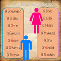 An Tuiseal Gairmeach (The Vocative Case)