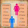 An Tuiseal Gairmeach (The Vocative Case)