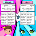 Gruaig/Súile
