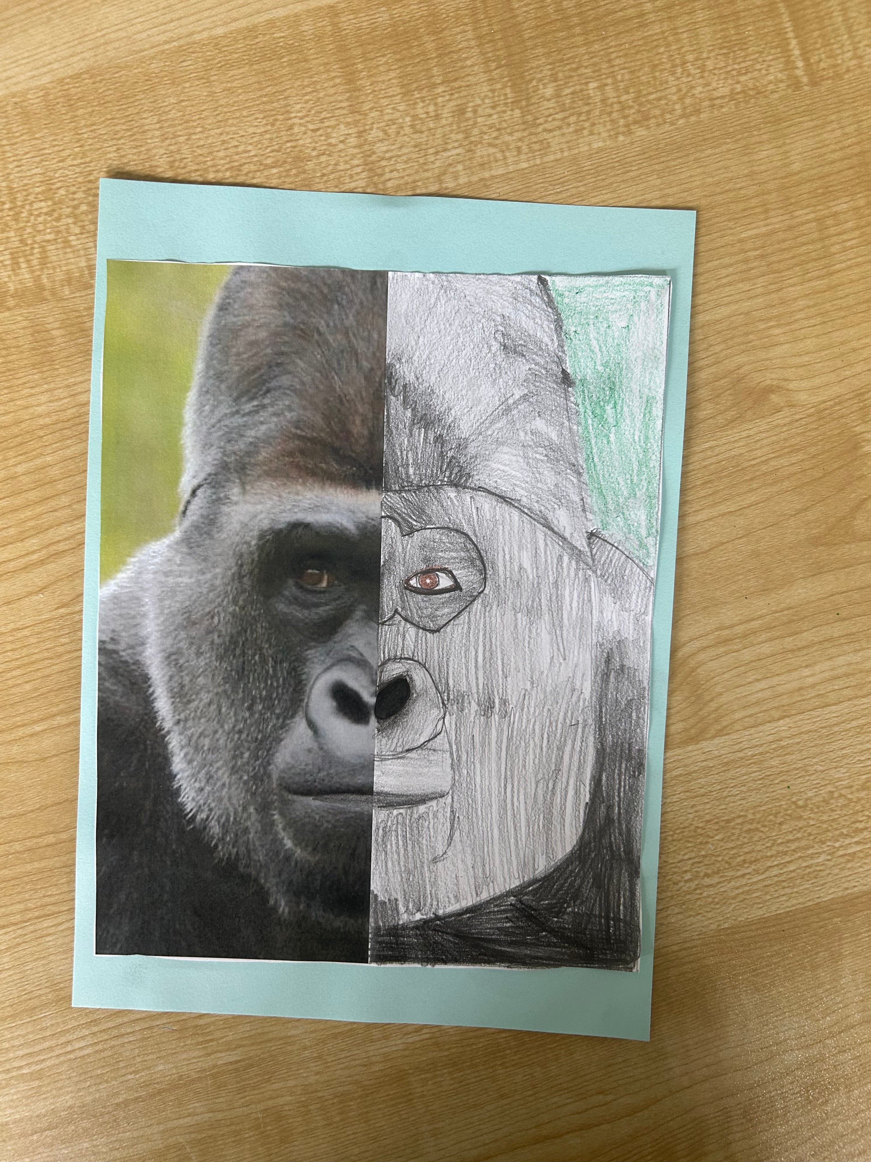 Zoo Animals - Half-Portraits (Art Activity)