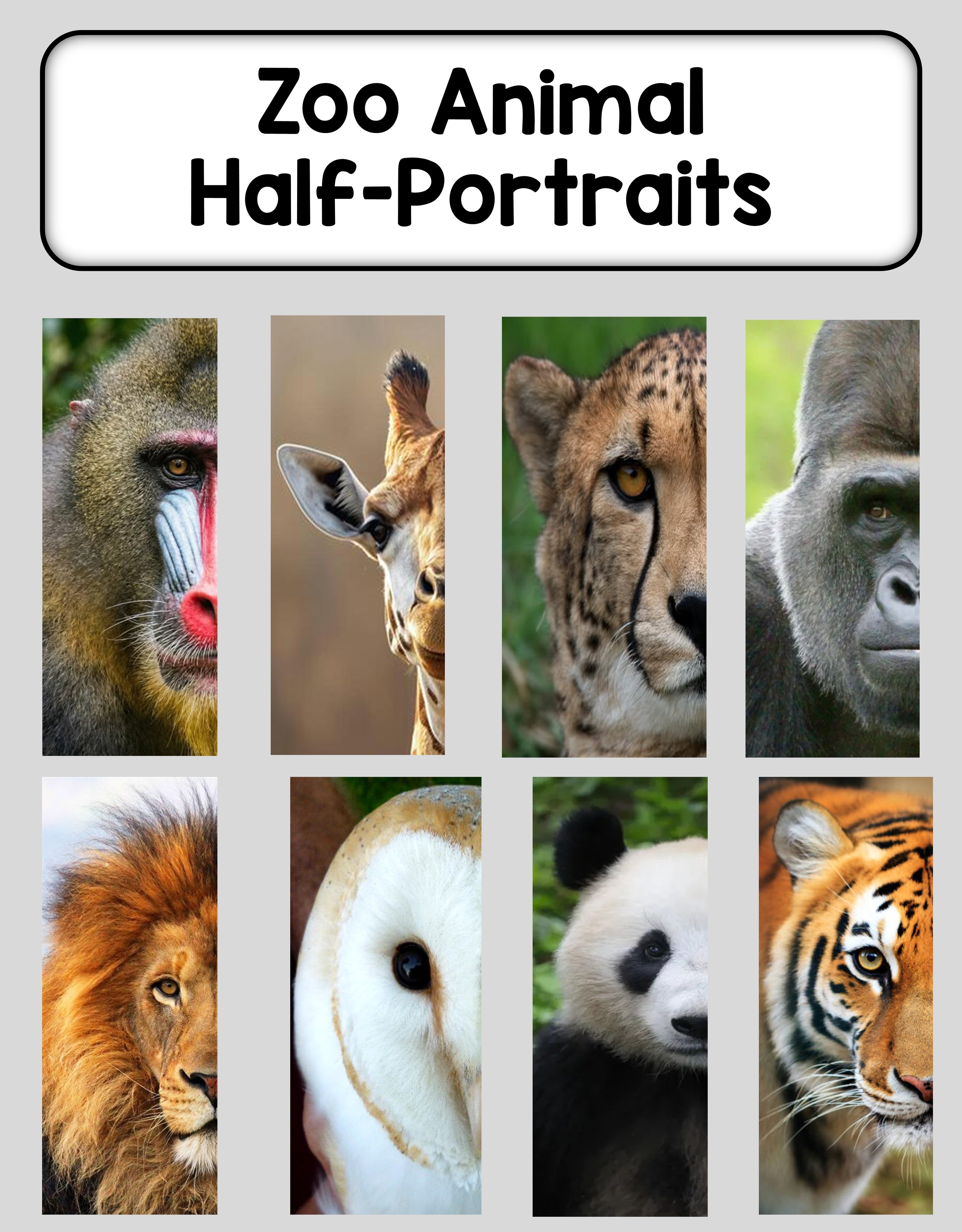 Zoo Animals - Half-Portraits (Art Activity)