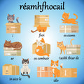 Réamhfhocail (prepositions) posters