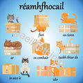 Réamhfhocail (prepositions) posters