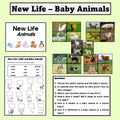 New Life - Baby Animals