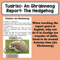 An Ghráinneog - Tuairisc (Report Writing)