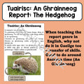An Ghráinneog - Tuairisc (Report Writing)