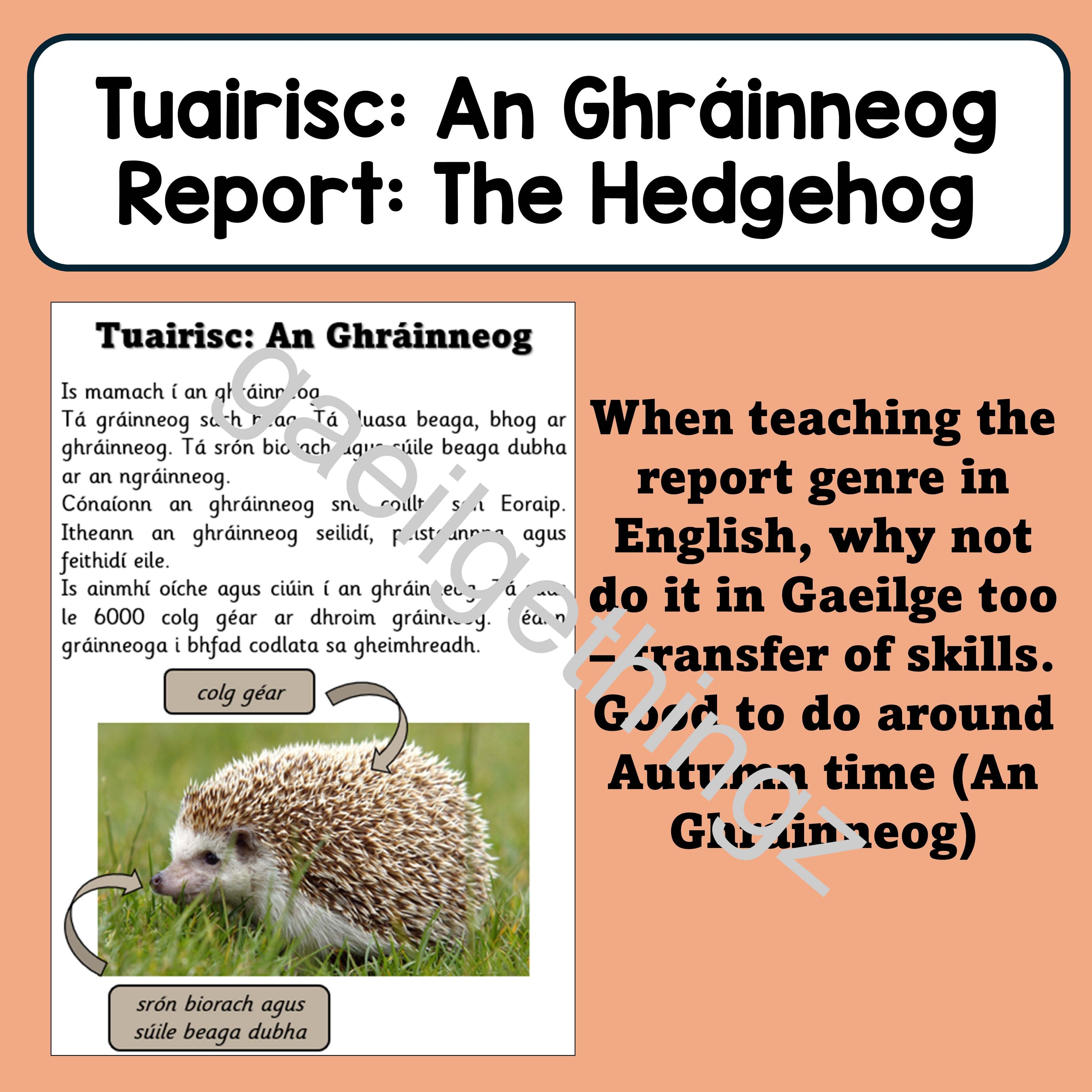 An Ghráinneog - Tuairisc (Report Writing)