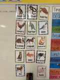 Peataí - Pets